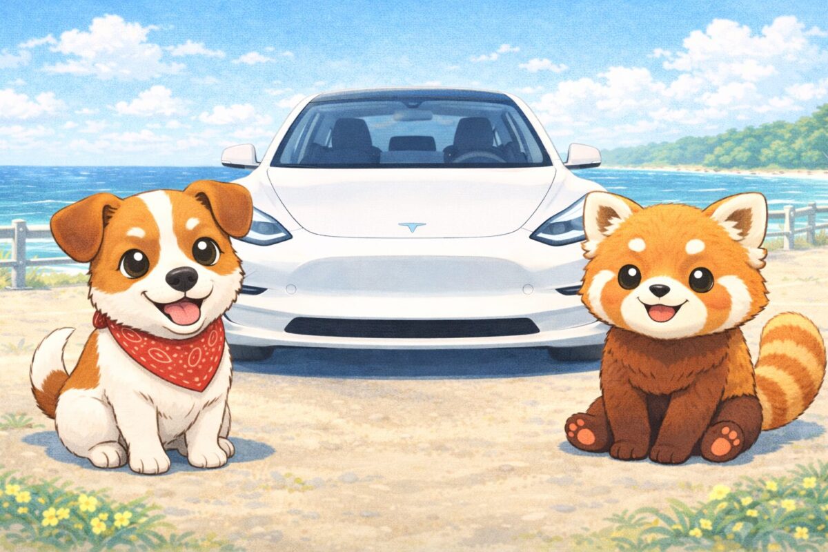 テスラ・モデル3は「EVに憧れるけど失敗が怖い人」のための、“損をさせない”スマートセダン